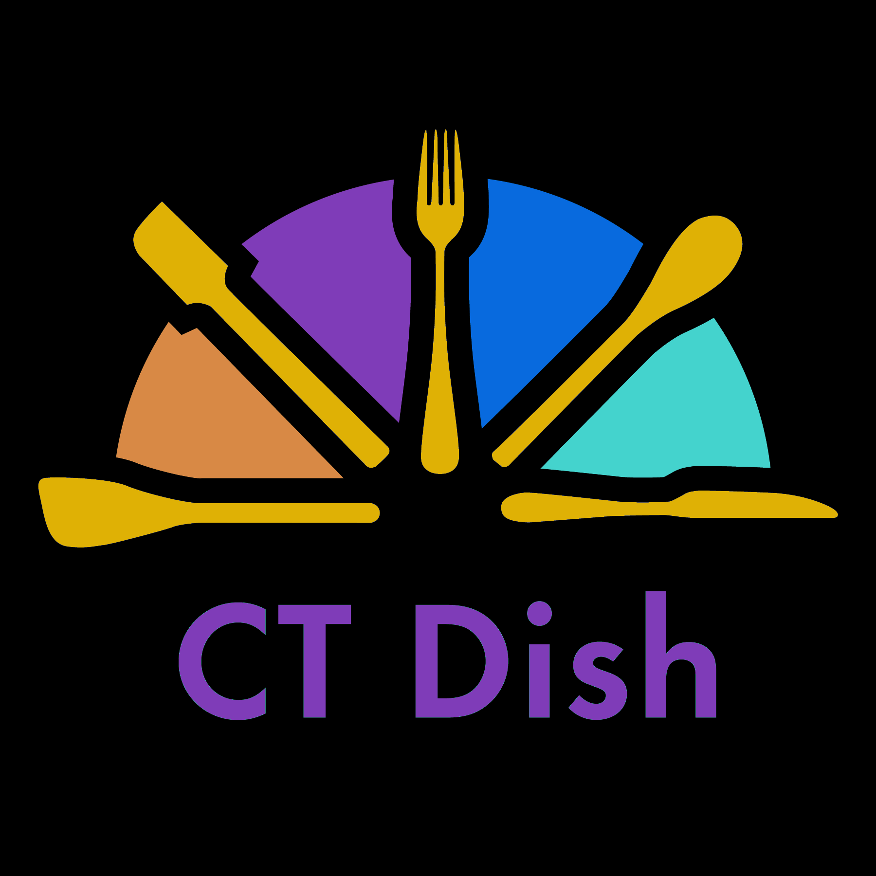 About CT Dish